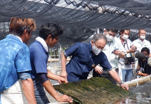 写真：現場視察の様子1