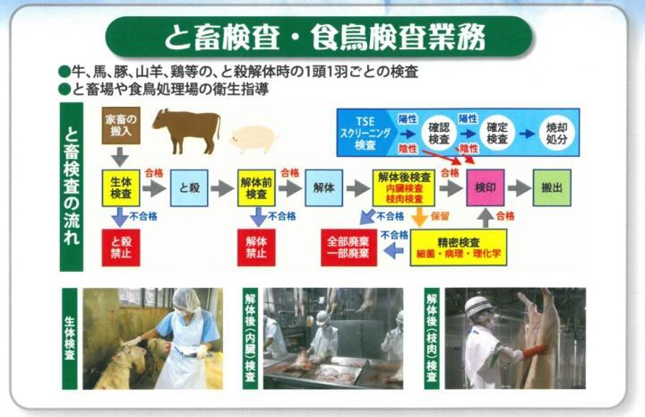 イラスト：と畜検査・食鳥検査業務のフロー図