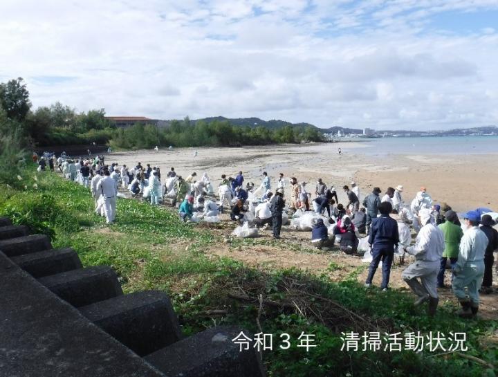 写真：清掃活動の様子