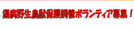 イラスト：傷病野生鳥獣保護飼養ボランティア募集！