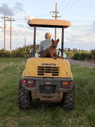 写真：第19回最優秀賞1