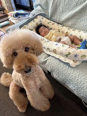 写真：特別賞（メイクマン賞）