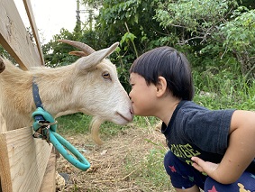 写真：第19回入選3