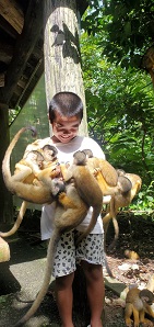 写真：第19回優秀賞3