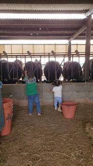 写真：第19回入選5