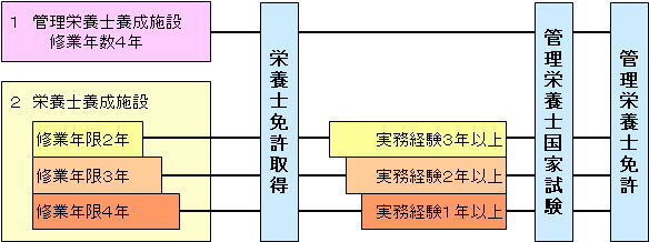 イラスト：管理栄養士になるための図解