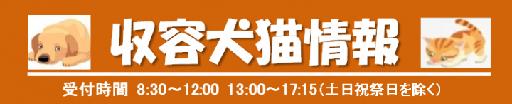 イラスト：収容犬猫情報　受付時間　8時30分～12時　13時～17時15分（土日祝祭日を除く）