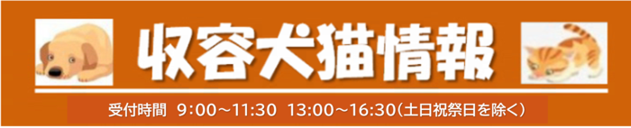 収容犬猫情報　受付時間　9時00分～11時30分　13時00分～16時30分（土日祝祭日を除く）