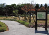 写真：造林樹種展示園の風景