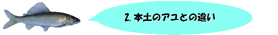 2.本土のアユとの違い