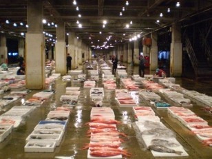 写真：漁港の風景2