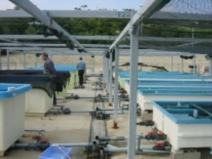 写真：漁港の風景3