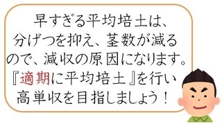 イラスト：早すぎる平均培土は、分げつを抑え、茎数が減るので、減収の原因になります。適期に平均培土を行い高単収を目指しましょう