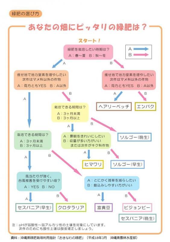 イラスト：おきなわの緑肥P17_緑肥の選び方