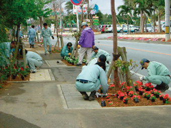 写真：道路植栽樹木の様子