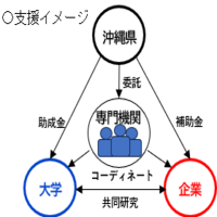 沖縄イノベーション・エコシステム共同研究推進事業