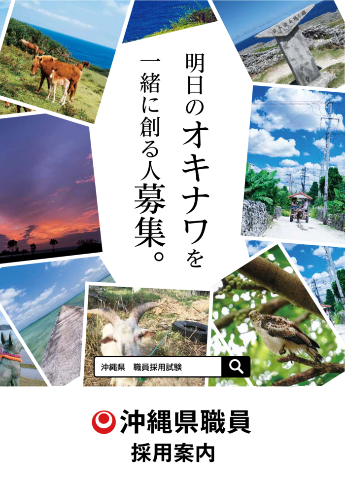 令和6年度沖縄県採用案内パンフレット表紙