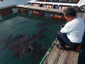 写真：餌やりの様子1