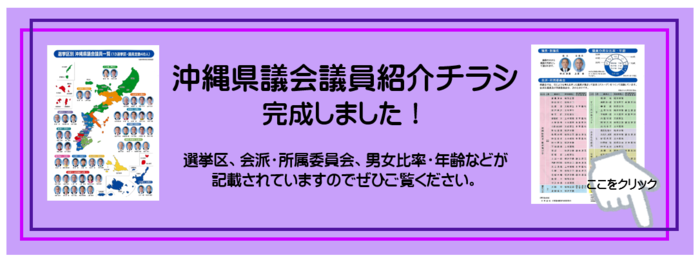 沖縄県議会議員紹介チラシ