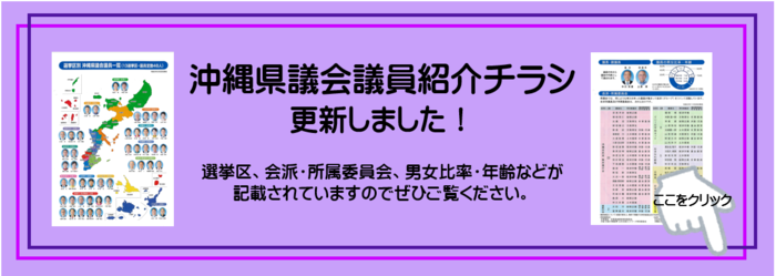 沖縄県議会議員紹介チラシ