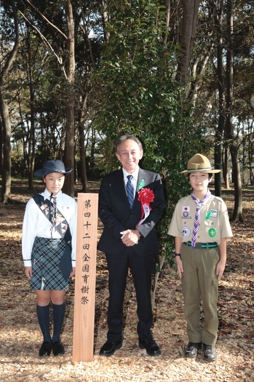 写真：育樹活動