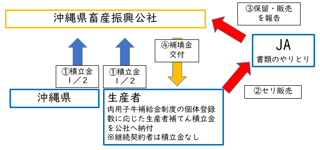 イラスト：事業の流れ概略図