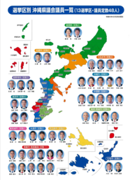 選挙区別　沖縄県議会議員一覧チラシ（表面）