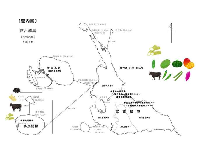 宮古地区の管内図