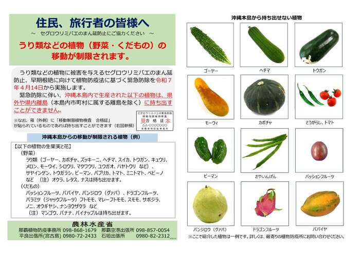 県民及び旅行者への移動制限の注意喚起