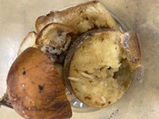 セグロウリミバエ（幼虫）