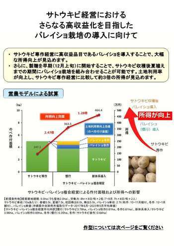 サトウキビ経営におけるさらなる高収益化を目指したバレイショ栽培の導入に向けて