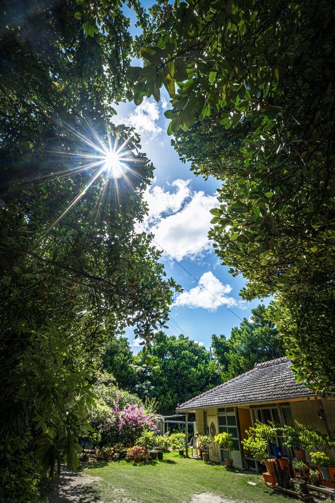 写真：令和6年度最優秀賞作品「防風林：「守ってあげたい」」