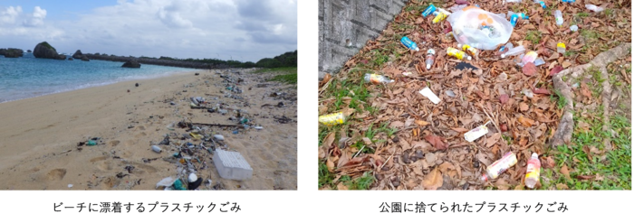 ビーチに漂着するプラスチックごみ及び公園に捨てられたプラスチックごみ