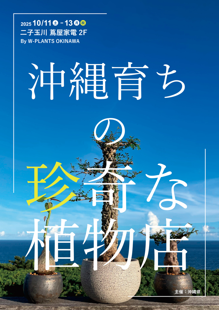 ビジュアル蔦屋家電