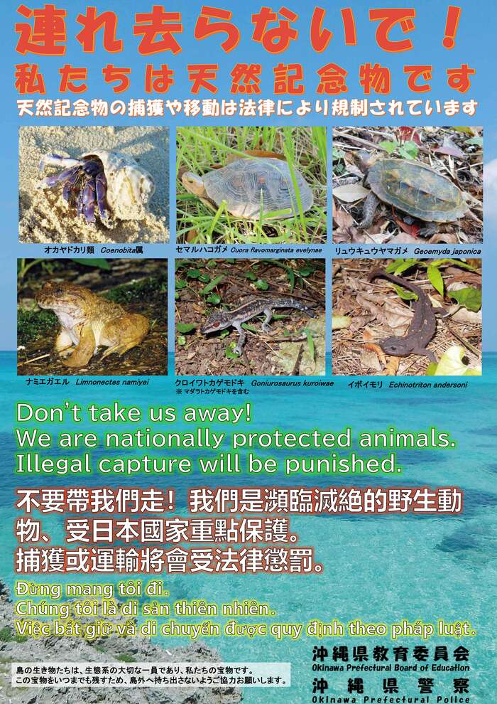 連れ去らないで！私たちは天然記念物です