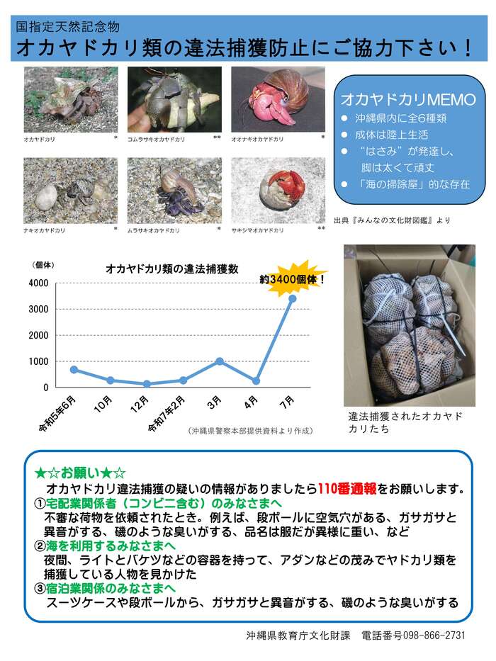 オカヤドカリ類の違法捕獲防止にご協力下さい！