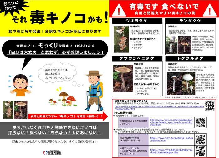 それ、毒キノコかも